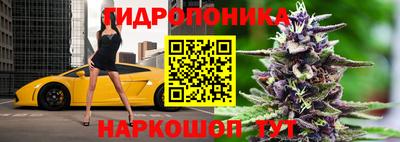 mdma Заводоуковск