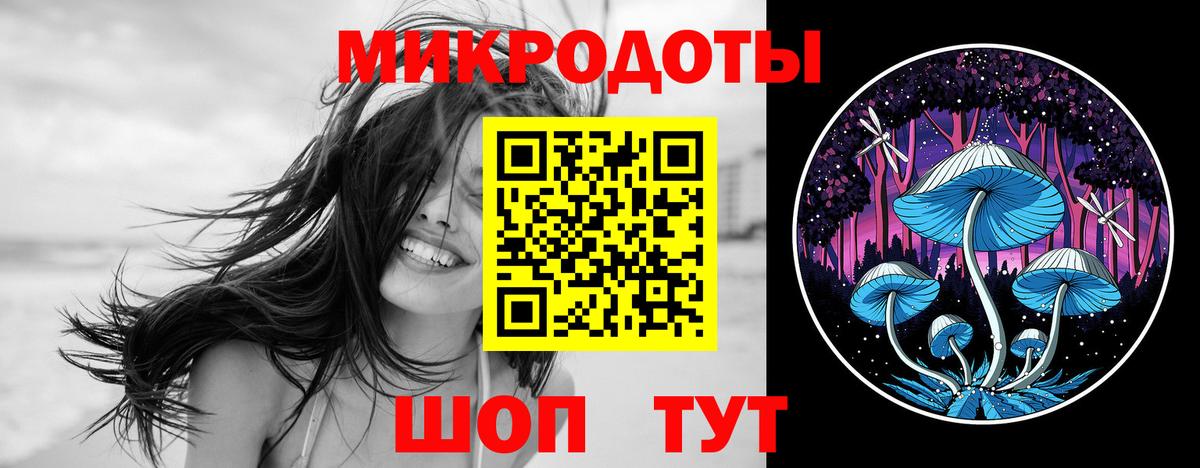 Псилоцибиновые грибы Psilocybe Кумертау
